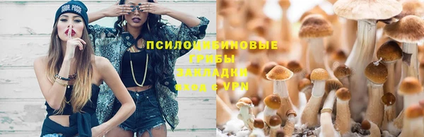 дурь Волоколамск