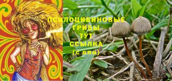 дурь Волоколамск