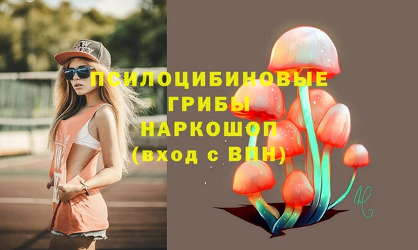 дурь Волоколамск